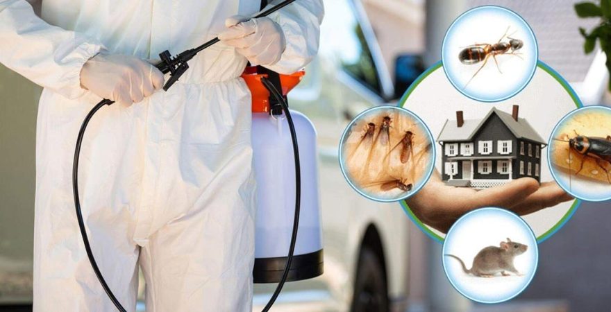 Başakşehir Böcek İlaçlama