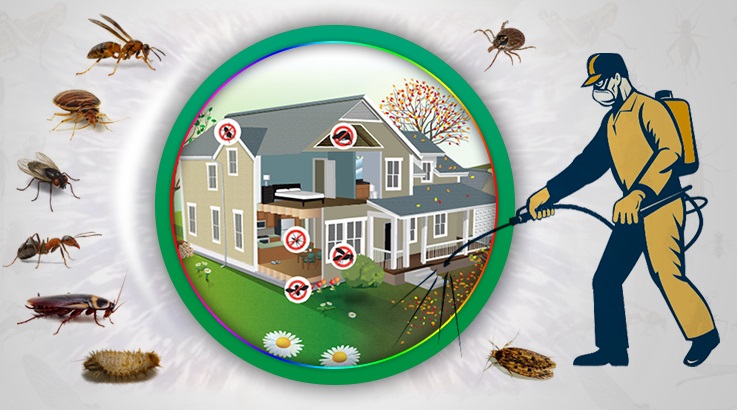 Başakşehir Böcek İlaçlama