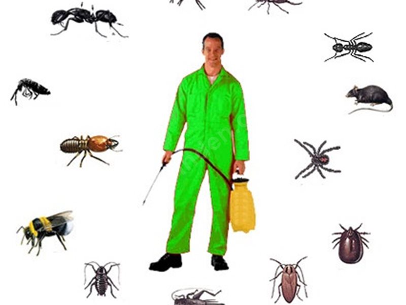 Başakşehir Böcek İlaçlama